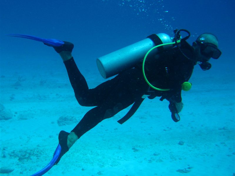 Similan diving