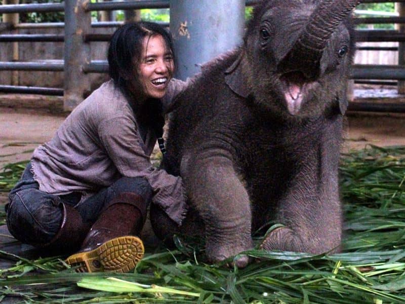 Ethical elephant sanctuaries