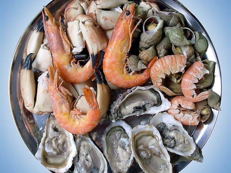 Fresh grilled seafood