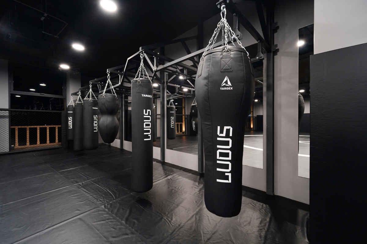 Heavy bags in the LUDUS bag room