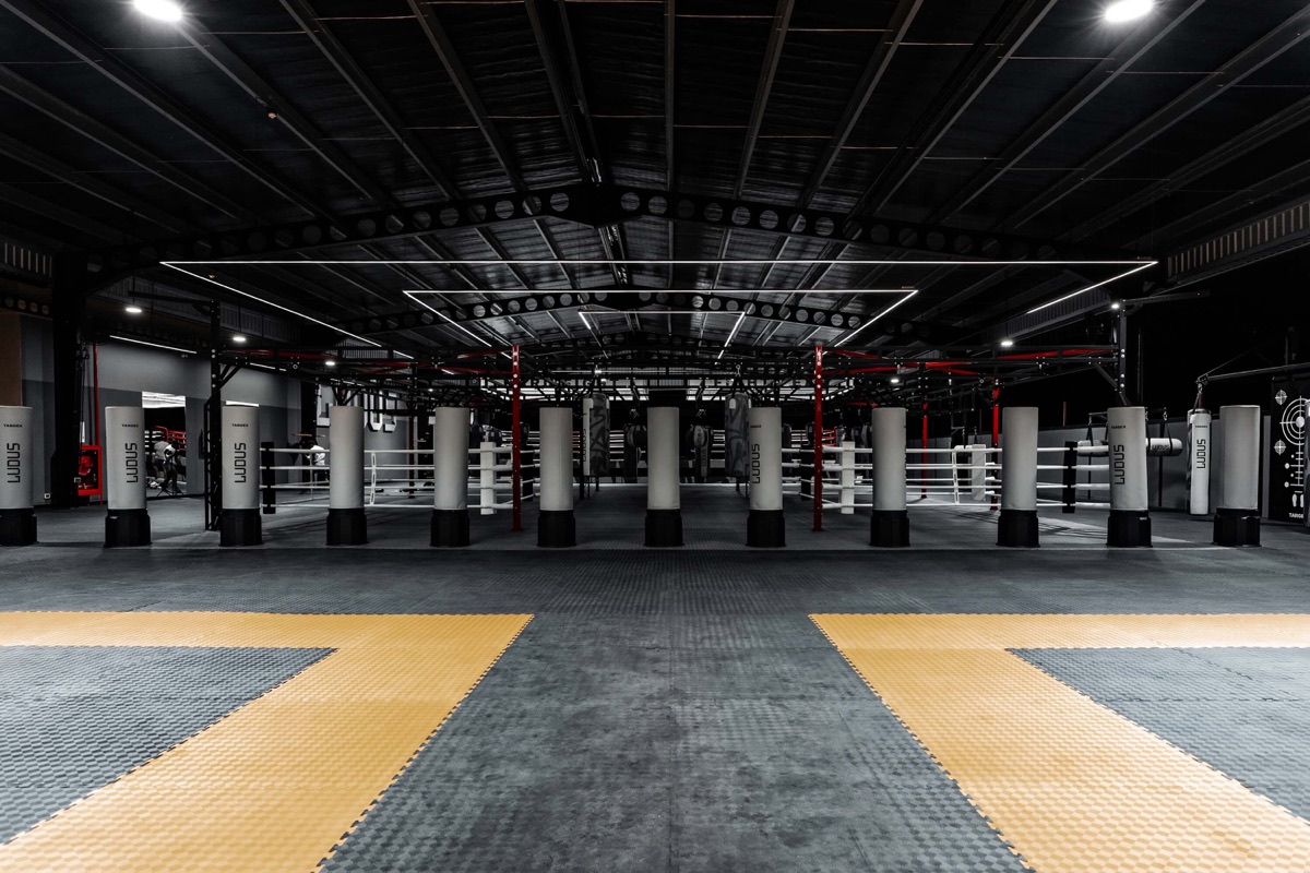 The rings hall at LUDUS seen from the floor