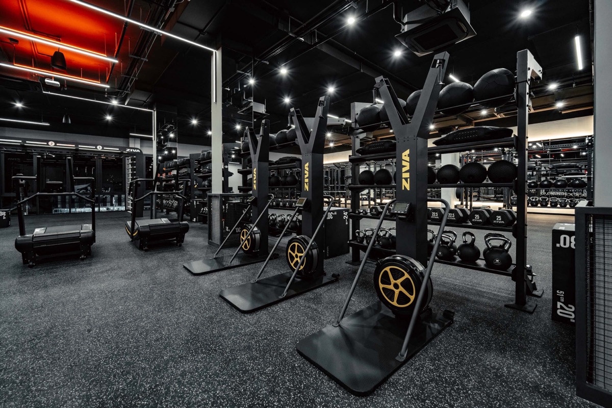 The strength and conditioning zone at LUDUS